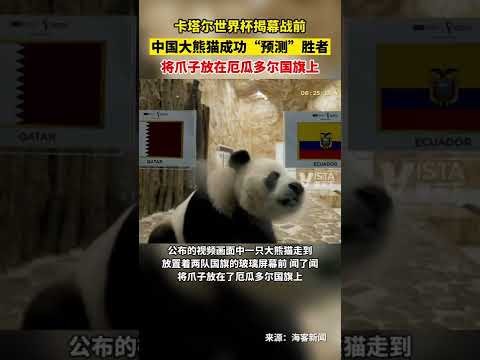 尤文半场领,先热那亚,伊尔迪兹突,亚博体育,亚博体育官网,亚博体育app,亚博体育下载