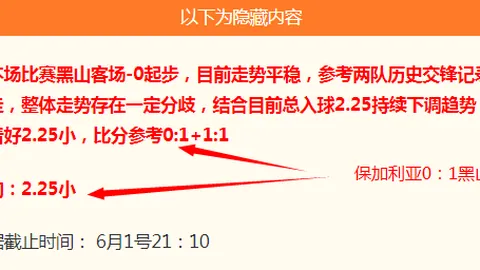 澳北部联避雷指南亚博体育官网：黄金海岸压路机与布里斯班斯巴达对决不容错过